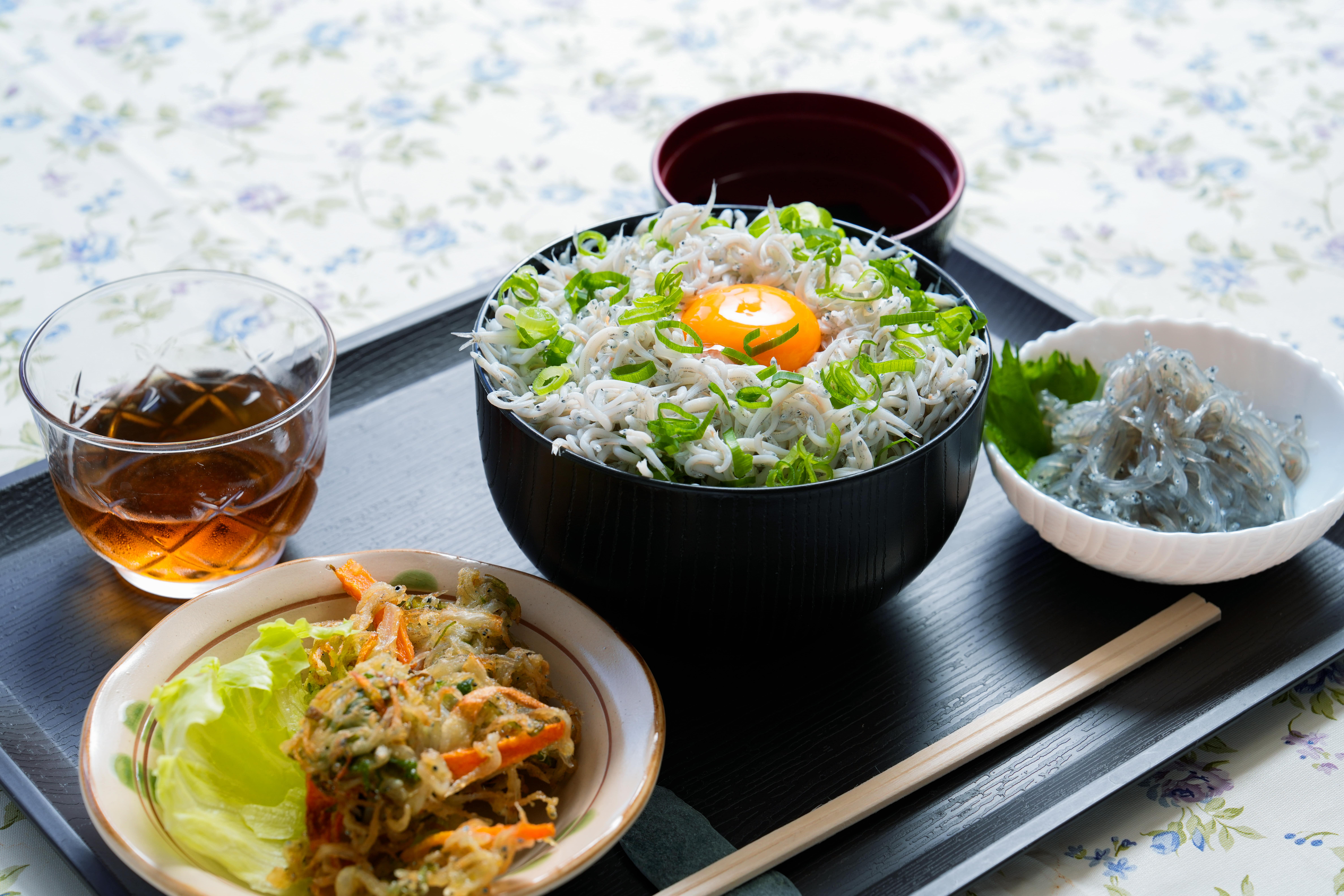 しらす漁体験&しらす丼食べ放題【昼食付き】