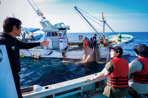 冬の宇和海伝統漁法 しらす漁体験【昼食付き】