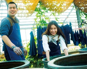 天然灰汁発酵の藍染体験